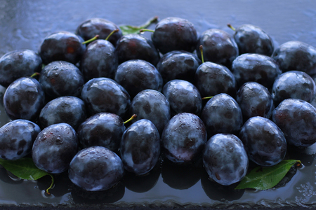 Ripe juicy plums sprayed with water on slate boardの写真素材