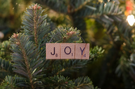 The letter joy is spelled out with lettered wooden tiles to create a homemade and festive Christmas...
