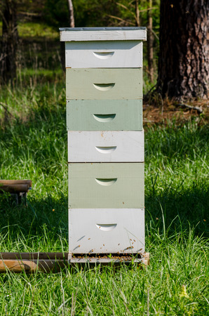 Bees fly in through the bottom of a stack of beekeeping boxes