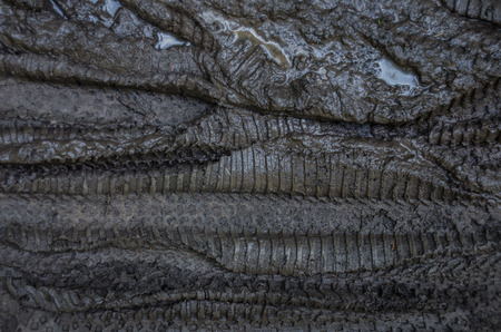 A background image of muddy bicycle treads on a popular trail
