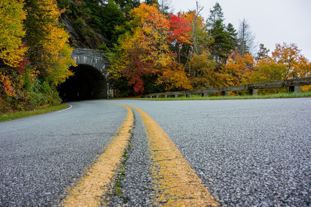 Yellow painted stripes bend into a tunnel along the Blue Ridge Parkway