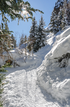 Heading uphill on a snow shoe trail in the Colorado mountainsの写真素材