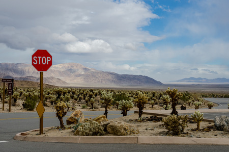Stop sign in cholla garden desert as the sun breaks through clouds on a rainy dayの写真素材