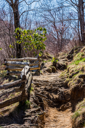 Root covered trail next to split rail fence near the Graveyard Fields trail along the Blue Ridge Parkwayの写真素材