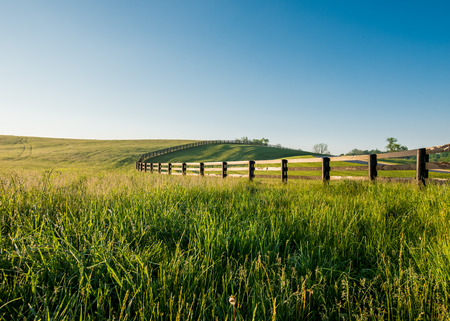 Tall Dewy Grass in Rolling Hills of Kentucky along a black fenceの写真素材
