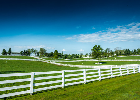 Overlooking the pastures and bright green grass of Kentucky horse farmsの写真素材