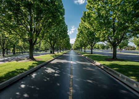 The Road Leaving Keeneland in summer