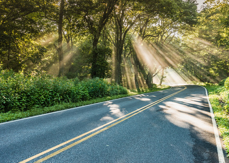 Shafts of Light in Fog on Country Road through forestの写真素材