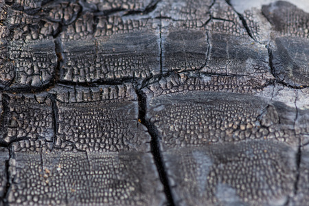 Burned Wood Narrow Focus Close Up with cracks throughout