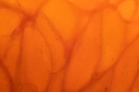 Extreme Close Up of Backlit Orange Slice backgroundの写真素材