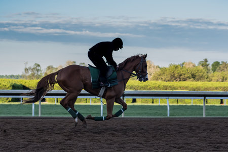Morning Workouts on Dirt Track with jockey silhouetteのeditorial素材