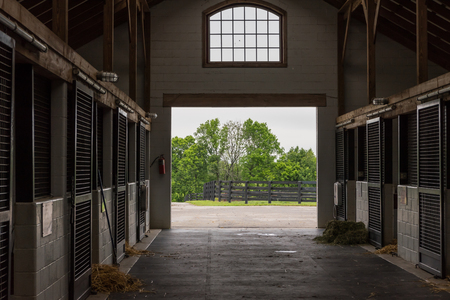 Cleaning Time in Horse Barn on quiet morningの写真素材