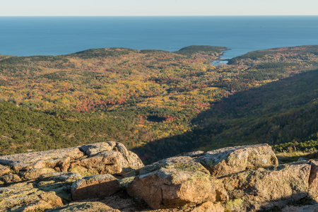 Overlook of the Autumn Forest From Cadillac Mountain in Acadiaの写真素材
