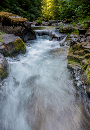 Water Rushes Through Brice Creek in Oregon Wildernessの写真素材