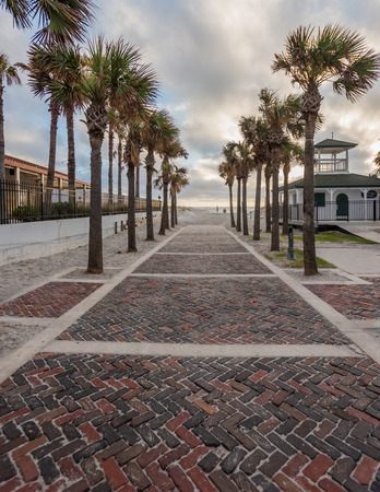 Brick Walkway Through Palm Trees to Beach Accessの写真素材