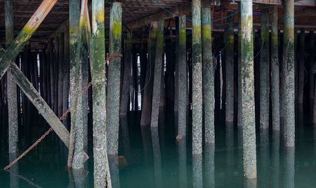 Calm Water Around Pylons Underneath Pier at low tideの写真素材