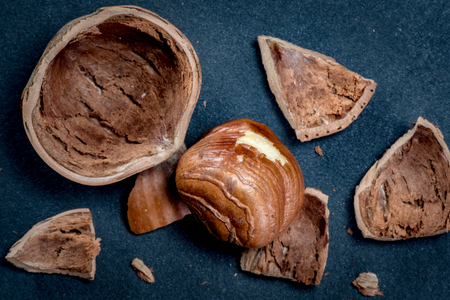 Hazelnut and Broken Shell over black slate background