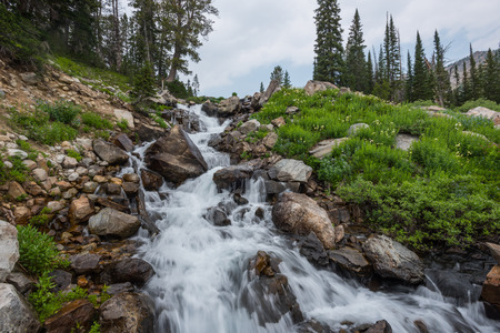 Lake Solitude Empties into Cascade Creek through waterfallの写真素材