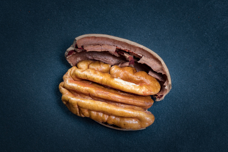 Pecan and Part of Shell on black slate background