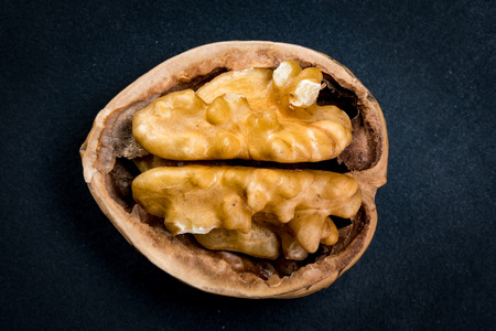 Walnut and Half Shell highlighted against dark background