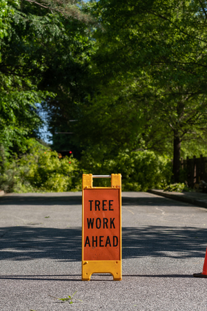 Tree Work Ahead with Copy Space Above through treesの写真素材