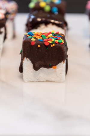 Confetti Candy and Chocolate Dipped Marshmallow Cube in frontの写真素材