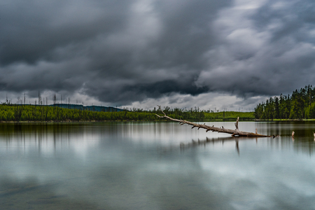 View of Driftwood in Calm Ice Lake with Stormy Cloudsの写真素材