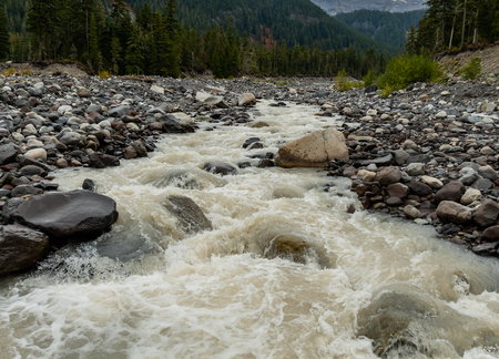 Rushing Water Through Rocky Shores of Nisqually River at base of Mount Rainier
