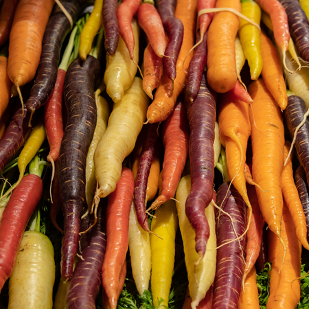 Colorful Carrots in Basket at Farmers Market