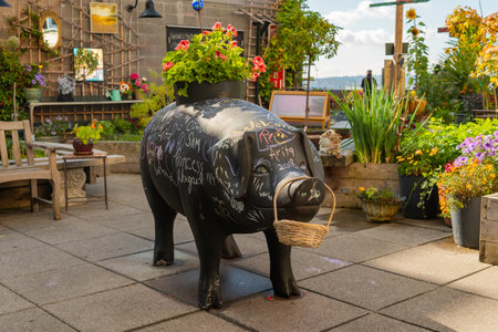 Seattle, United States: October 4, 2018: Blackboard Pig in Gardenのeditorial素材