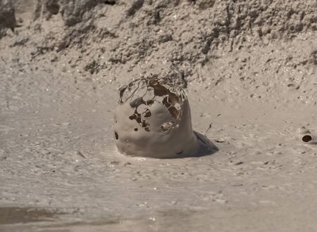 Bubble bursts up from muddy paint pot in Yellowstone