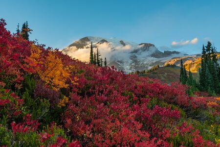 Clouds Hover in Front of Mount Rainier with Red Huckleberry in Foregroundの写真素材