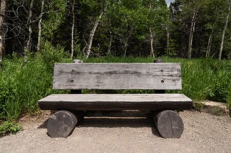 Log Bench in Field next to dirt trail