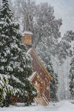 Yosemite Valley Chapel Hides Behind Snowy Pine during heavy snowfallの写真素材