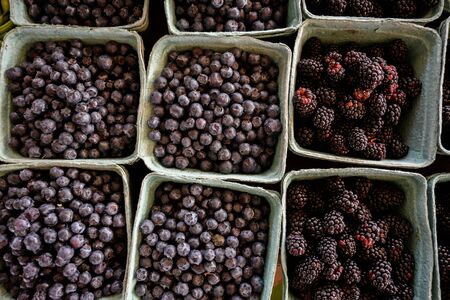Blackberries and Blueberries at a Farmers Market in cardboard containersの写真素材