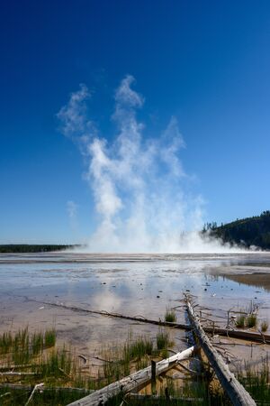 Marsh and Downed Trees Near Grand Prismatic springの写真素材