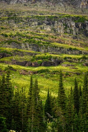 Layers of Bear Grass and cliffsの写真素材
