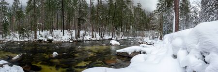 Merced River Runs Through Snowy Forest in Yosemiteの写真素材