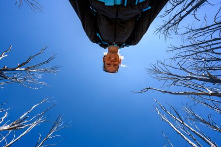 Looking up at Smiling woman with bare trees against blue skyの写真素材