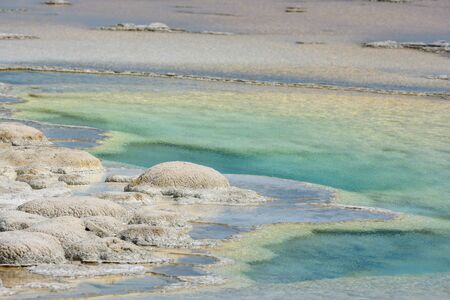 Bulbous Deposits of White Residue on Hot Spring Shore in Yellowstone
