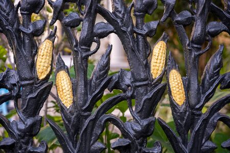 Corn Details On Wrought Iron Fence close upの写真素材