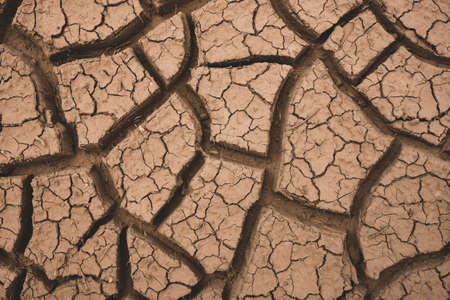 Looking down on Cracks in Dried Mud Background Image