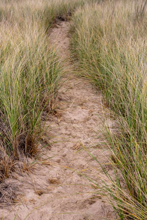 Path Through Grass On Sand Dune to Lake Michiganの写真素材