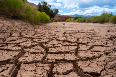 Cracked Bottom of Dry Wash Lined With Green Bushesの写真素材