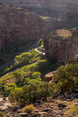 Looking Down Over Scenic Drive in Capitol Reef National Parkの写真素材