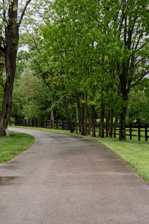 Driveway to Horse Farm in rural Kentuckyの写真素材