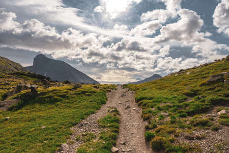 Double Track Trail Heading up to Piegan Pass in summerの写真素材