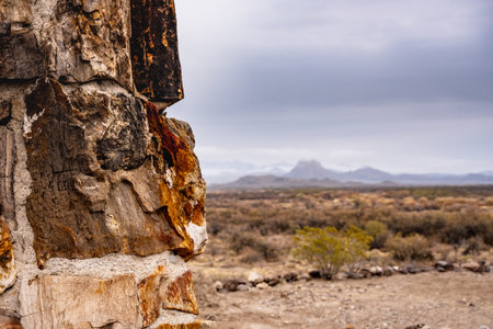 Looking Past Petrified Wood fireplace to mountain range in Big Bend National Parkの写真素材