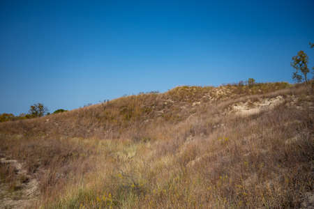 Over Grown Sand Dune On Clear Day in Indiana Dunes National parkの写真素材