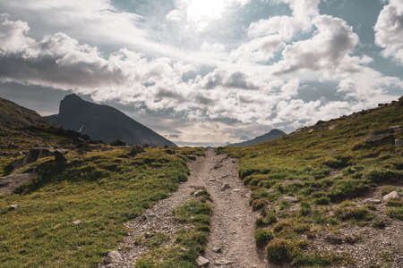 Piegan Pass Trail Cuts Through Alpine Meadow in Glacier National Parkの写真素材
